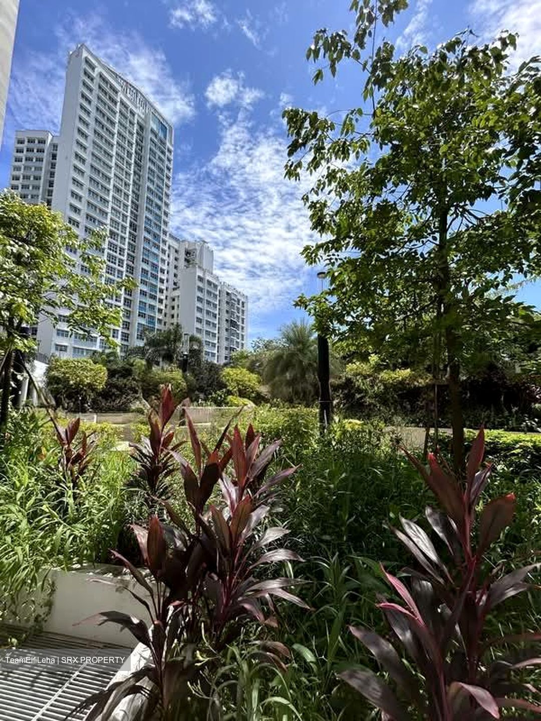 Blk 421B Northshore Straitsview (Punggol), HDB 2 Rooms #537608771